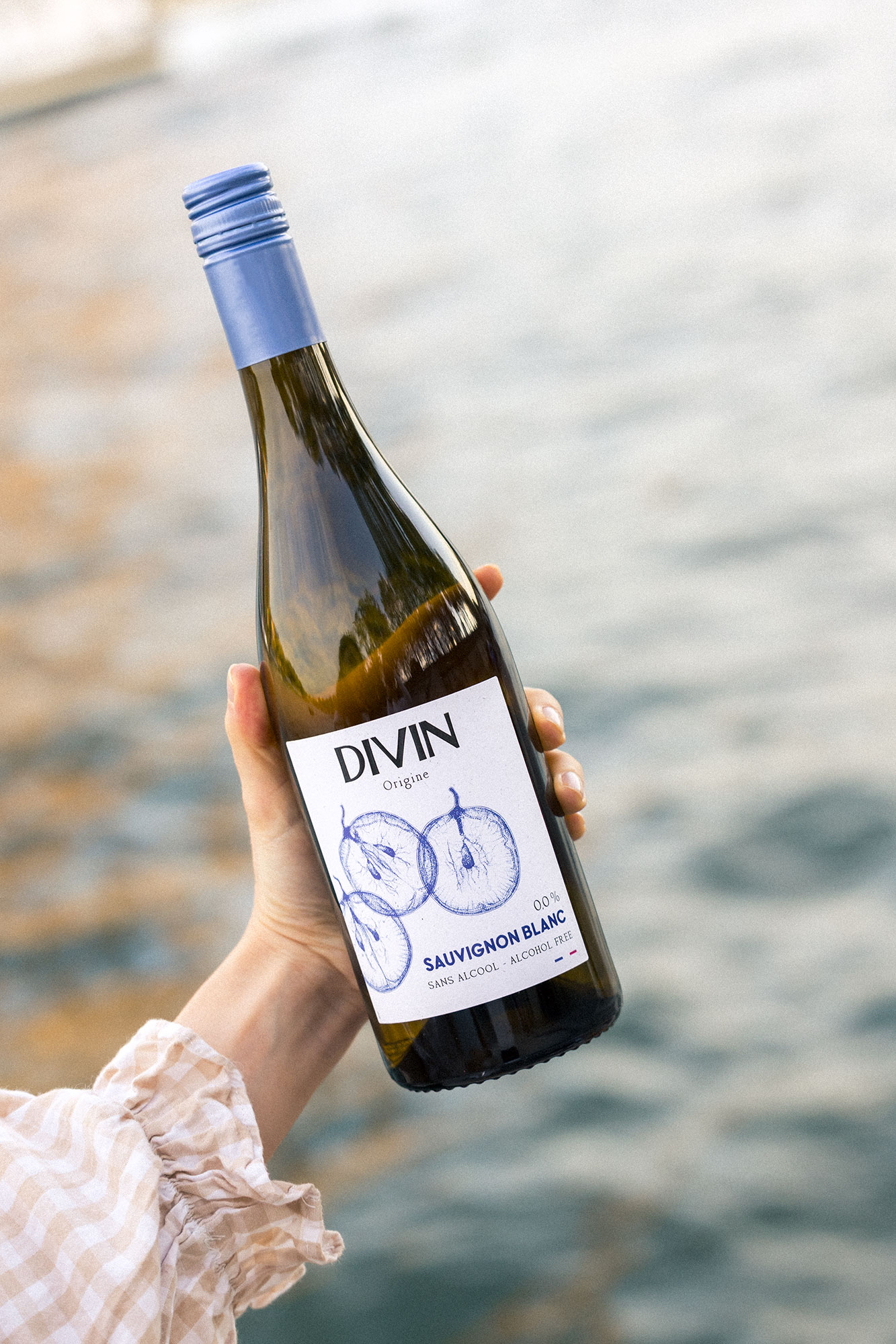 Sauvignon Blanc Divin Origine Seine 2