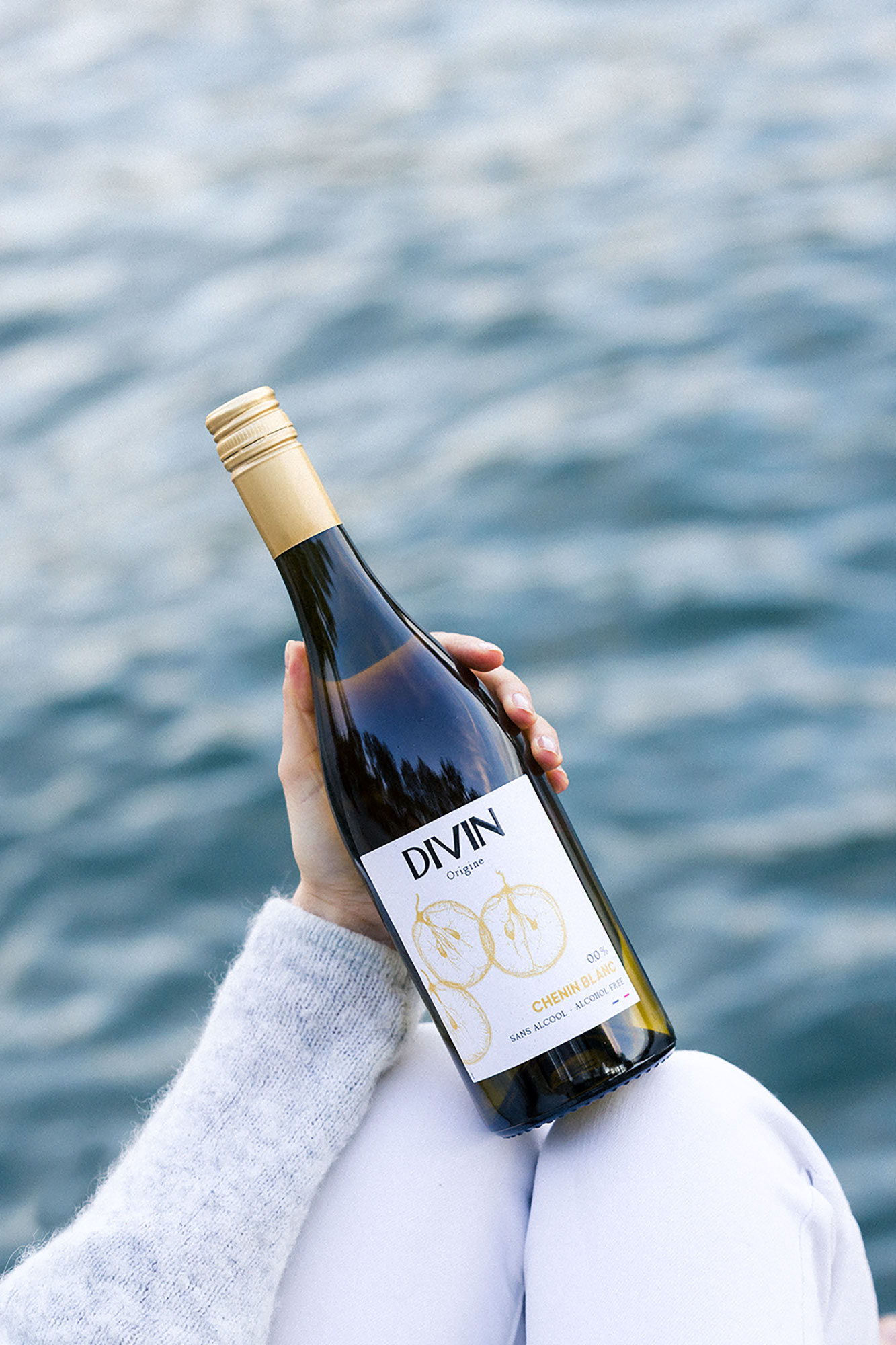 Chenin Blanc Divin Origine Seine 1